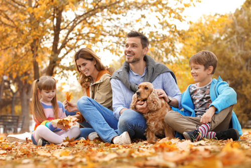 Зачем нужна семья?